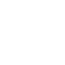 developer